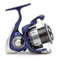 Daiwa 24 TDR QD Reel