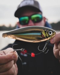 Rapala X-Rap Haku 14cm