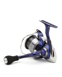 Daiwa 24 TDR QD Reel