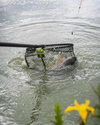 Matrix Carp Scoop Landing Net