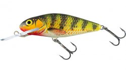 Salmo Perch