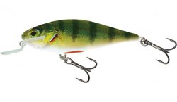 Salmo Executor Shallow Runner