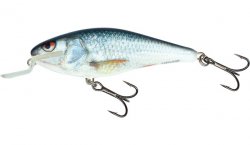 Salmo Executor Shallow Runner