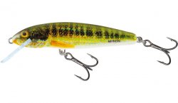 Salmo Minnow