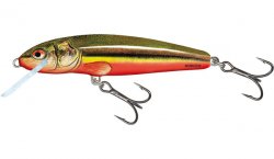 Salmo Minnow