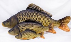 Gaby Common Carp Pillow