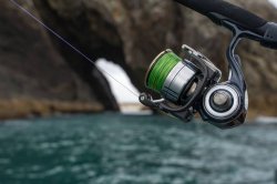 Daiwa Certate LT Reel