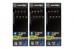 Matrix MXC-6 F1 Band Rigs 4