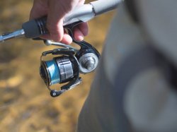 Daiwa Certate LT Reel