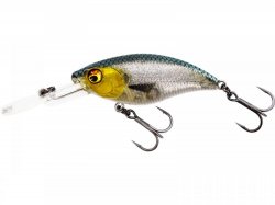 Westin BuzzBite Crankbait