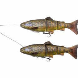 Savage Gear 4D Line Thru Trout Lure