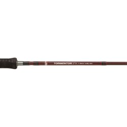 Abu Garcia Tormentor Spinning Combo