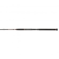 Penn Prevail II Boat Rod