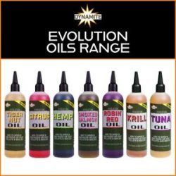 Dynamite Evolution Oils