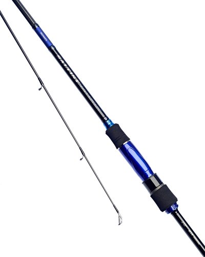 Daiwa Saltist Bass Rod