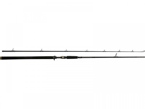 Westin W3 Powercast-T 2nd 8ft3 XH 20-80g