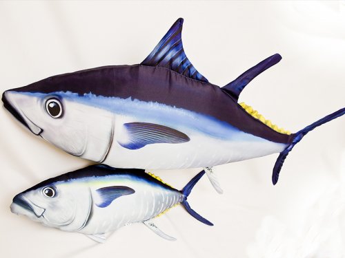 Gaby Atlantic Bluefin Tuna