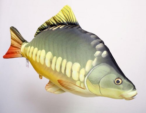 Gaby Mirror Carp Pillow